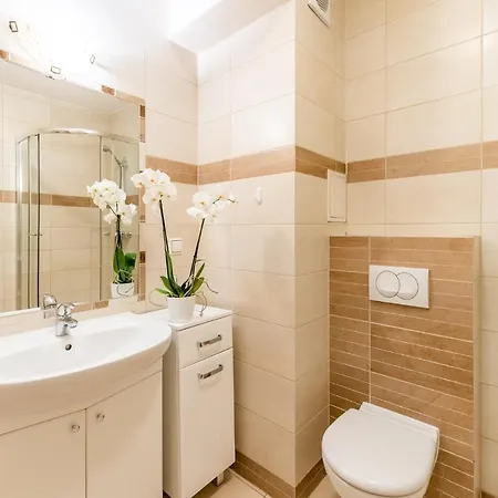 Apartment Kasprowicza Grey *