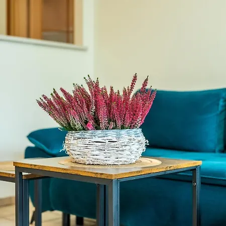 Kasprowicza Grey Apartamento *